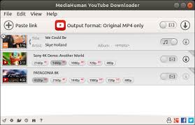 MediaHuman YouTube Downloader 3.9.8.26 Crack