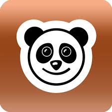 Panda VPN 20.00.00 Crack & Keygen Free Download 2023 Latest Version